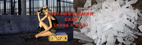 сатива Белая Холуница